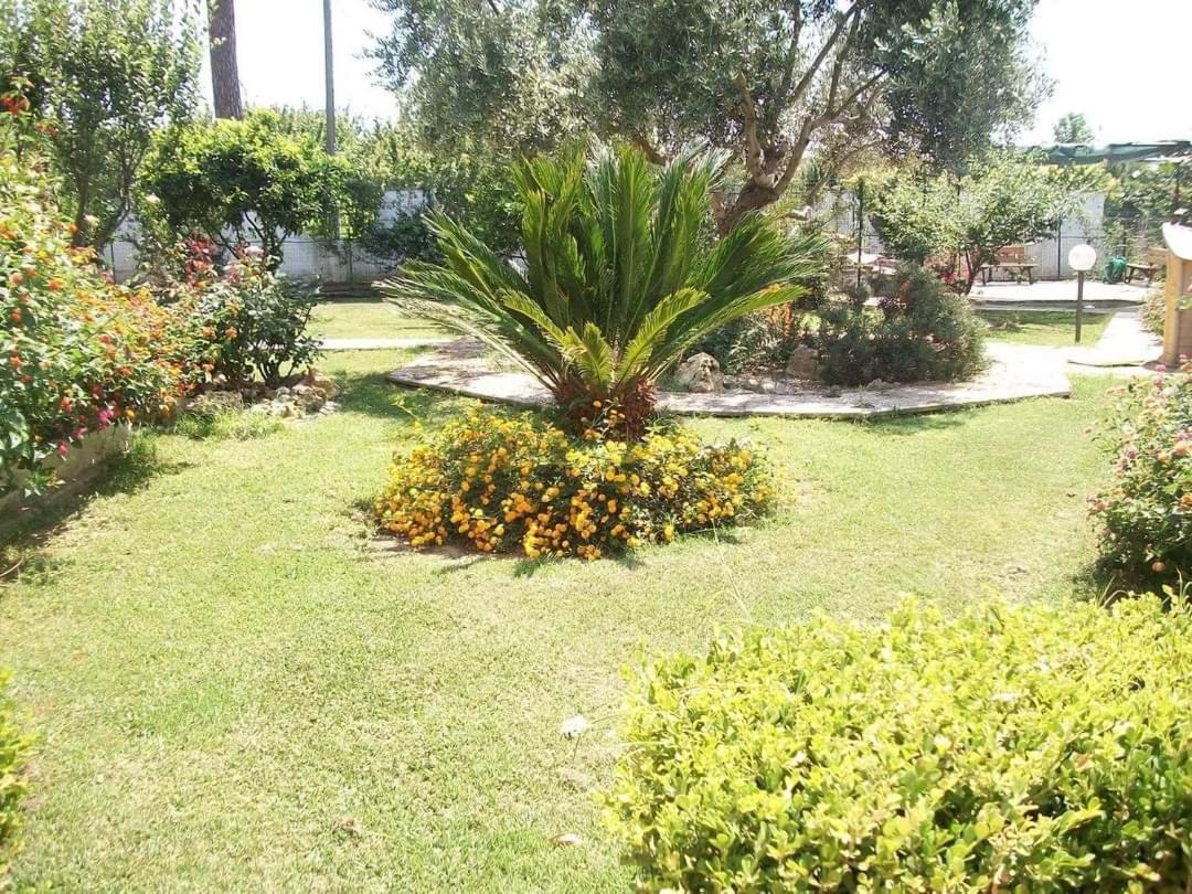 Apartamento Il Giardino Degli Ulivi Giugliano In Campania Exterior foto