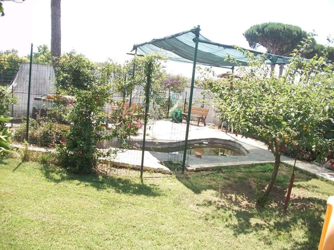 Apartamento Il Giardino Degli Ulivi Giugliano In Campania Exterior foto